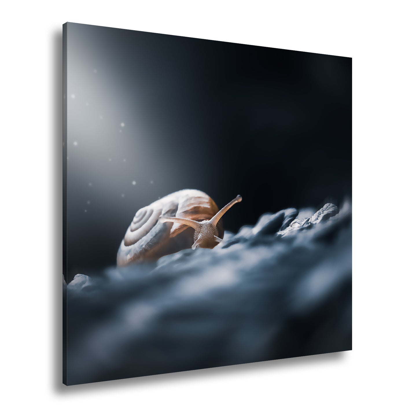 Hauptbild Farbig Quadratisch