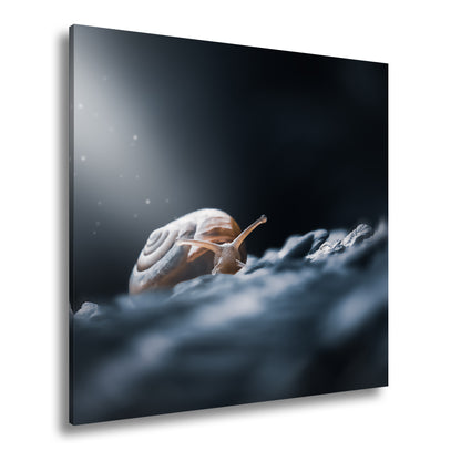 Hauptbild Farbig Quadratisch