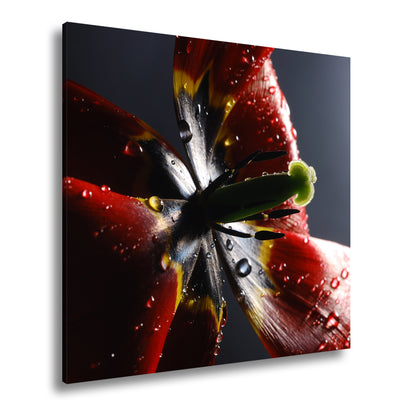 Hauptbild Farbig Quadratisch