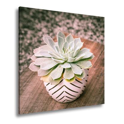 Hauptbild Farbig Quadratisch