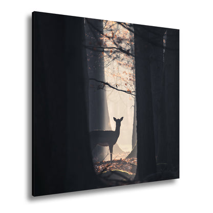 Hauptbild Farbig Quadratisch