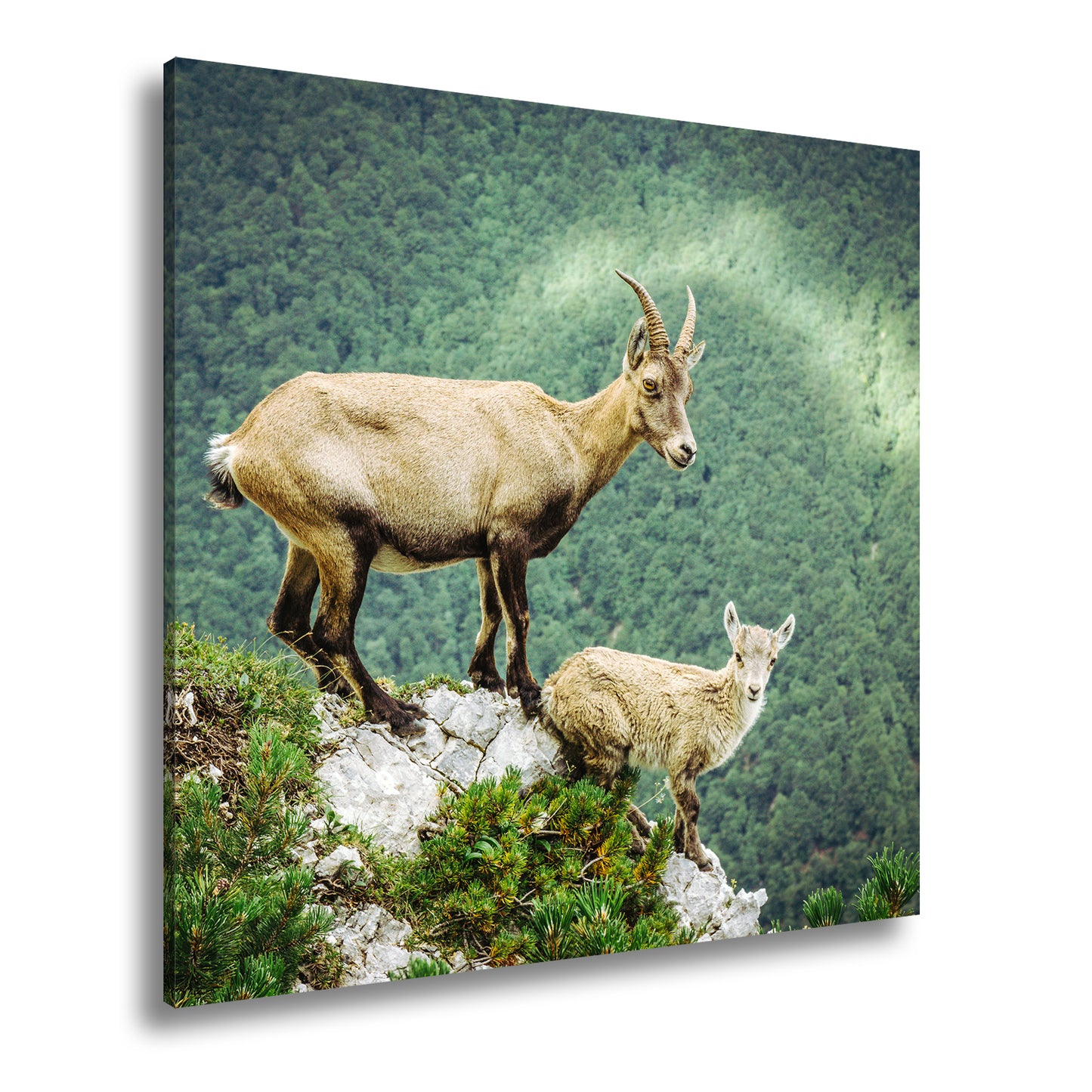 Hauptbild Farbig Quadratisch