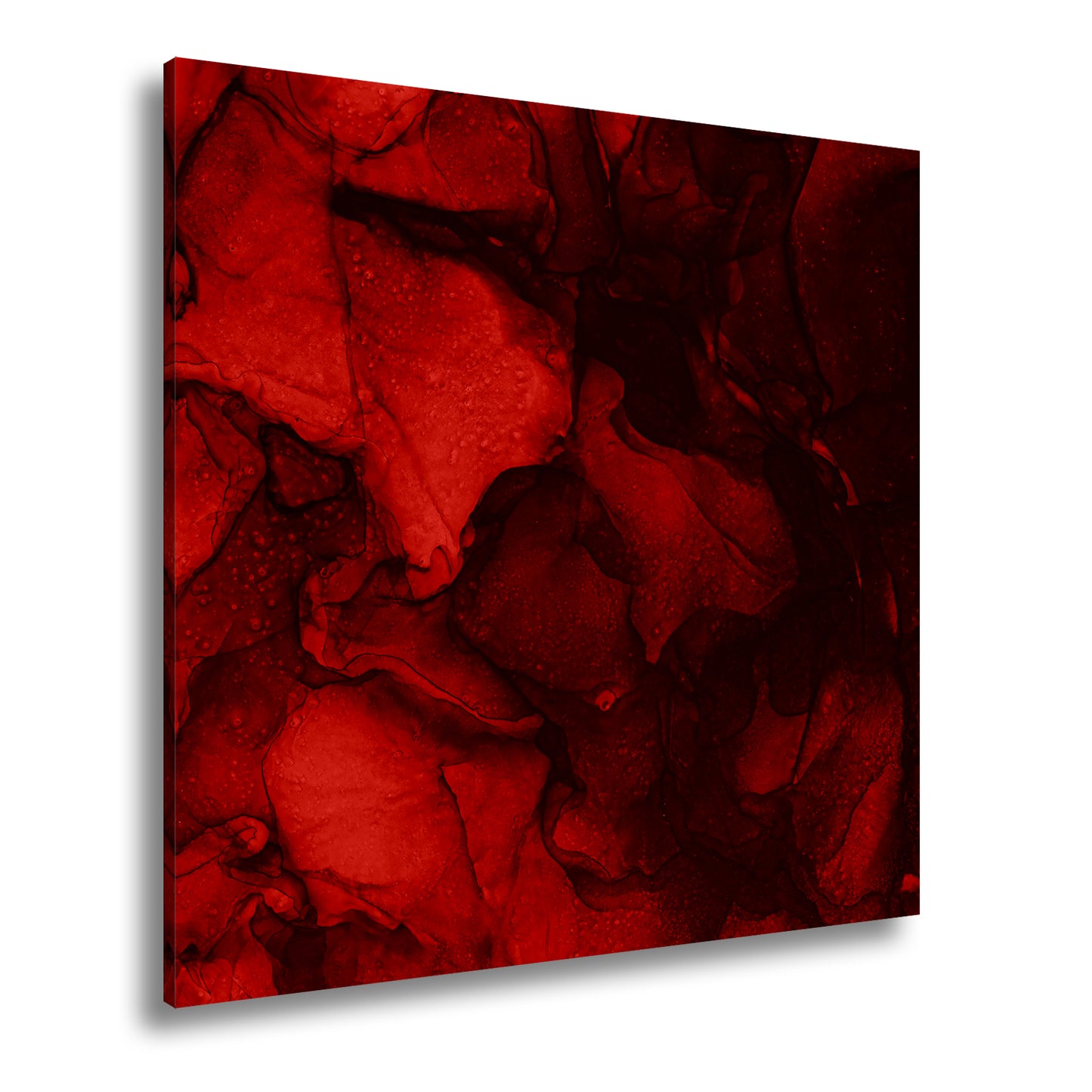 Hauptbild Farbig Quadratisch