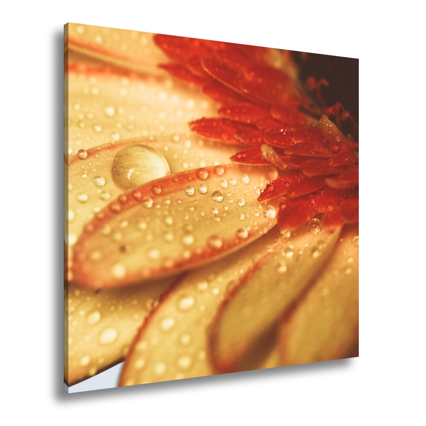 Hauptbild Farbig Quadratisch