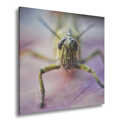 Hauptbild Farbig Quadratisch