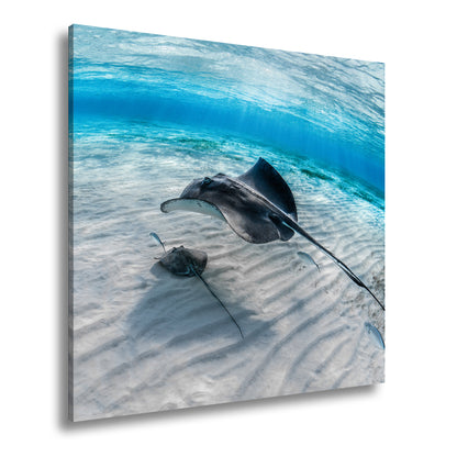 Hauptbild Farbig Quadratisch