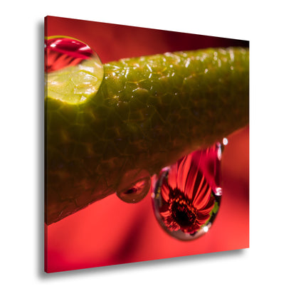 Hauptbild Farbig Quadratisch