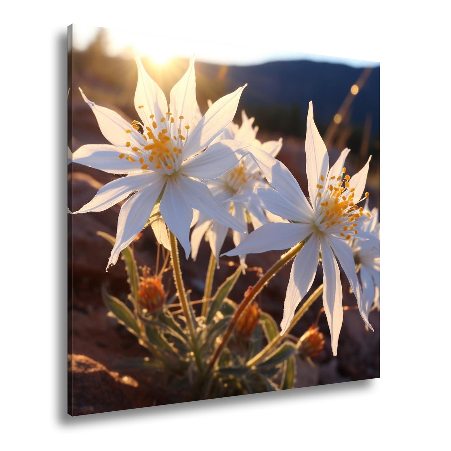 Hauptbild Farbig Quadratisch