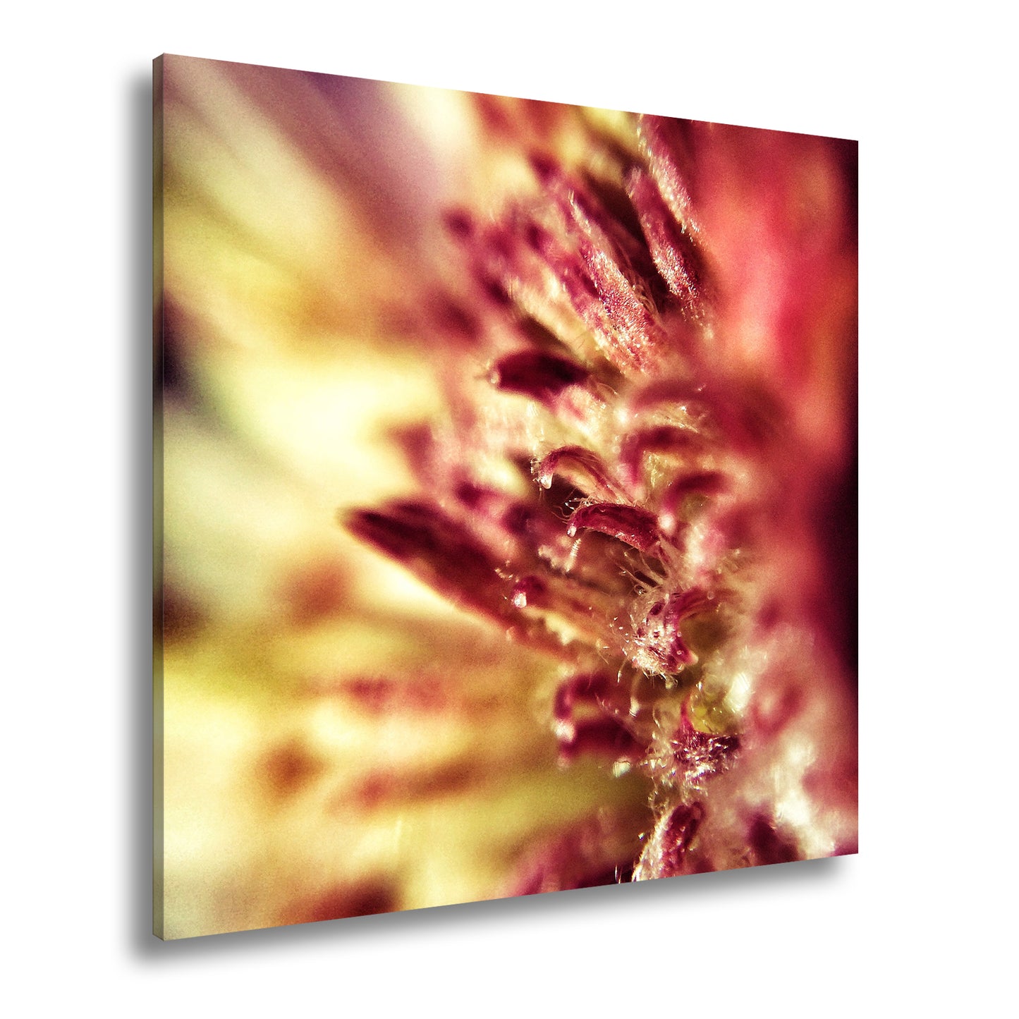 Hauptbild Farbig Quadratisch