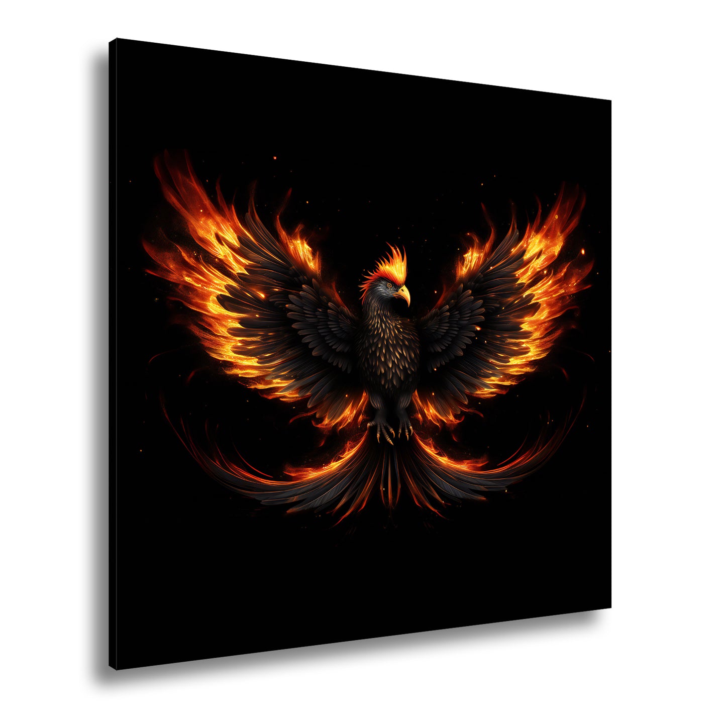 Hauptbild Farbig Quadratisch