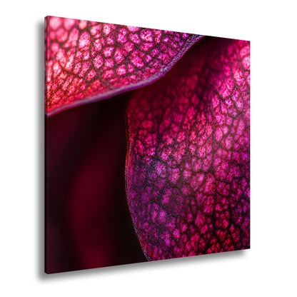 Hauptbild Farbig Quadratisch