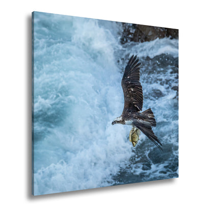 Hauptbild Farbig Quadratisch