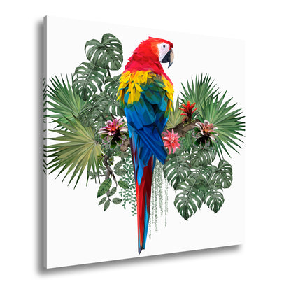 Hauptbild Farbig Quadratisch