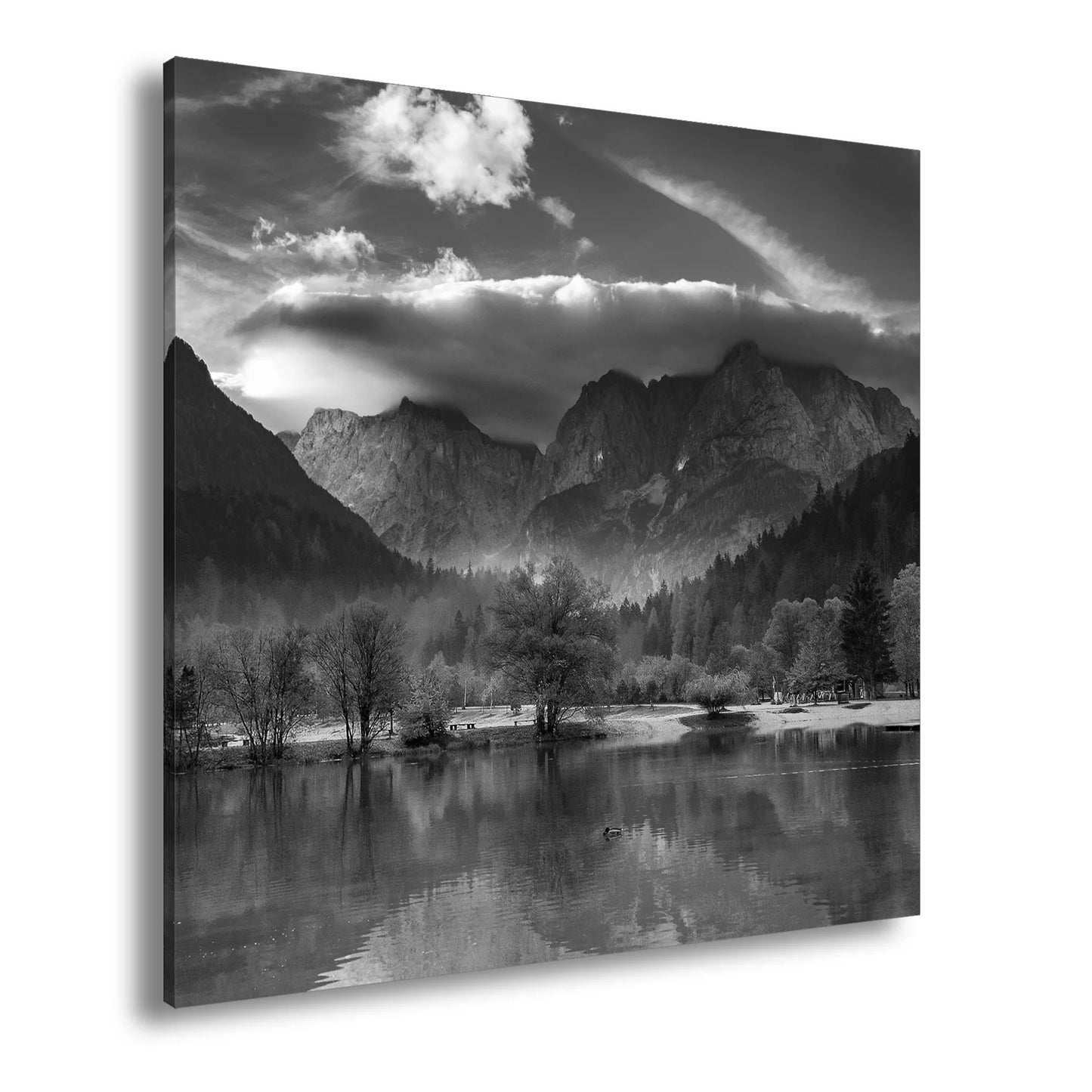 Hauptbild Schwarz & Weiß Quadratisch