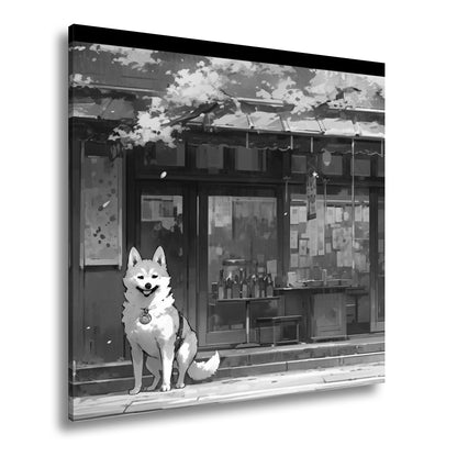 Hauptbild Schwarz & Weiß Quadratisch