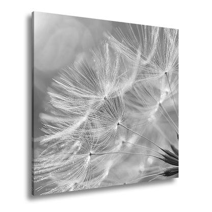 Hauptbild Schwarz & Weiß Quadratisch