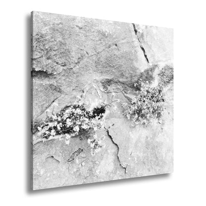 Hauptbild Schwarz & Weiß Quadratisch