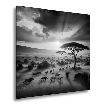 Hauptbild Schwarz & Weiß Quadratisch