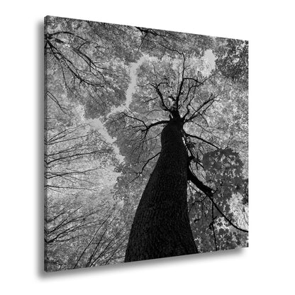 Hauptbild Schwarz & Weiß Quadratisch