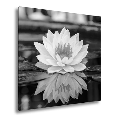 Hauptbild Schwarz & Weiß Quadratisch