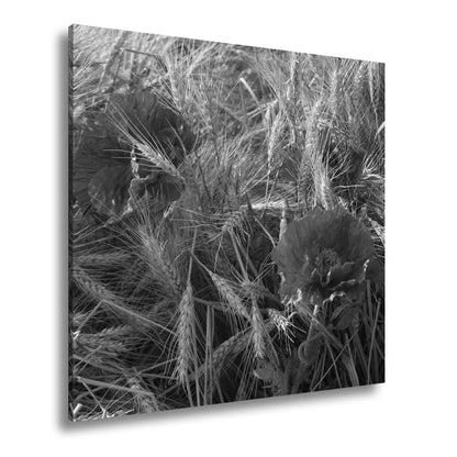 Hauptbild Schwarz & Weiß Quadratisch