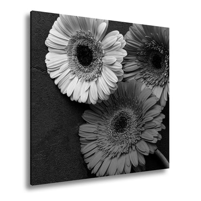 Hauptbild Schwarz & Weiß Quadratisch