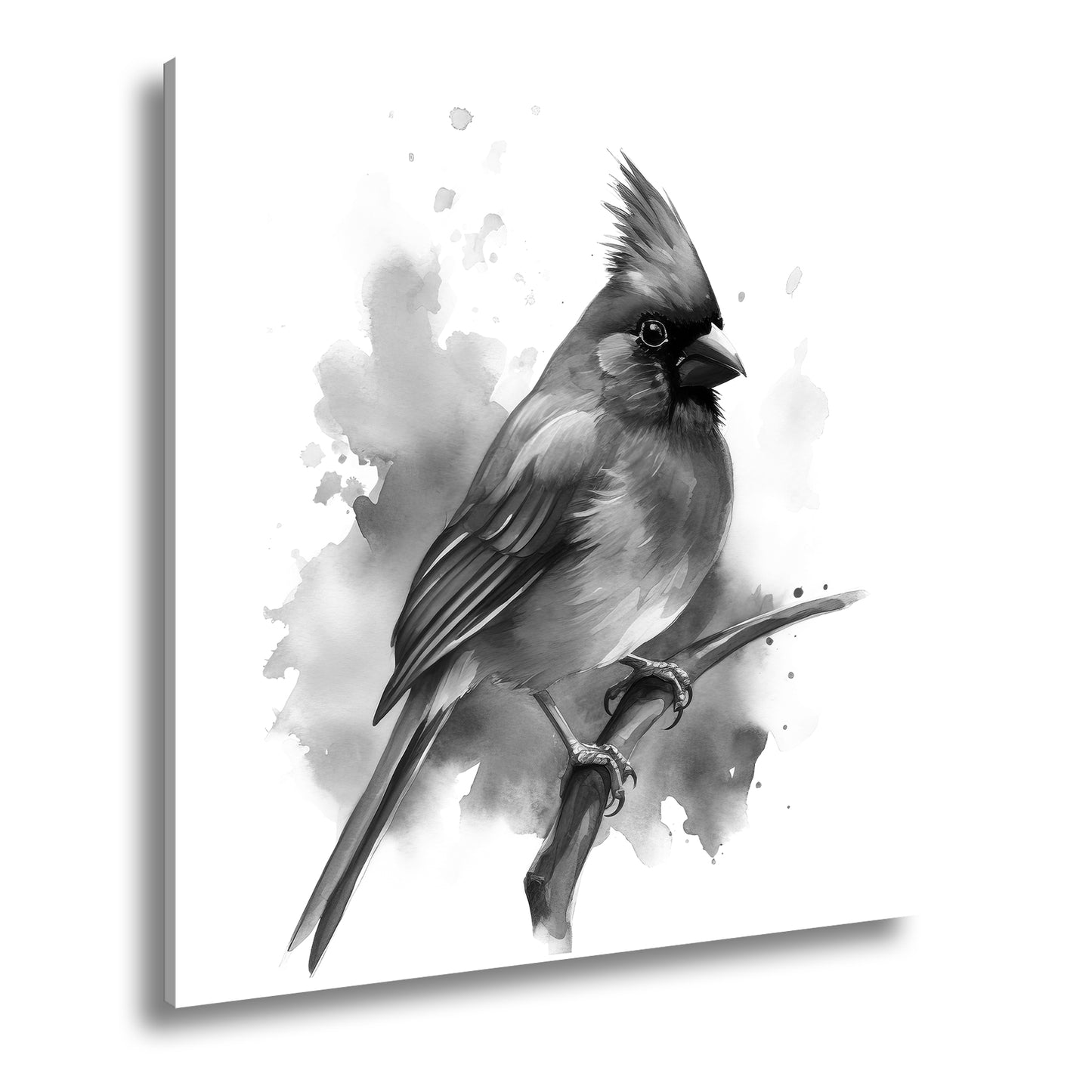 Hauptbild Schwarz & Weiß Quadratisch