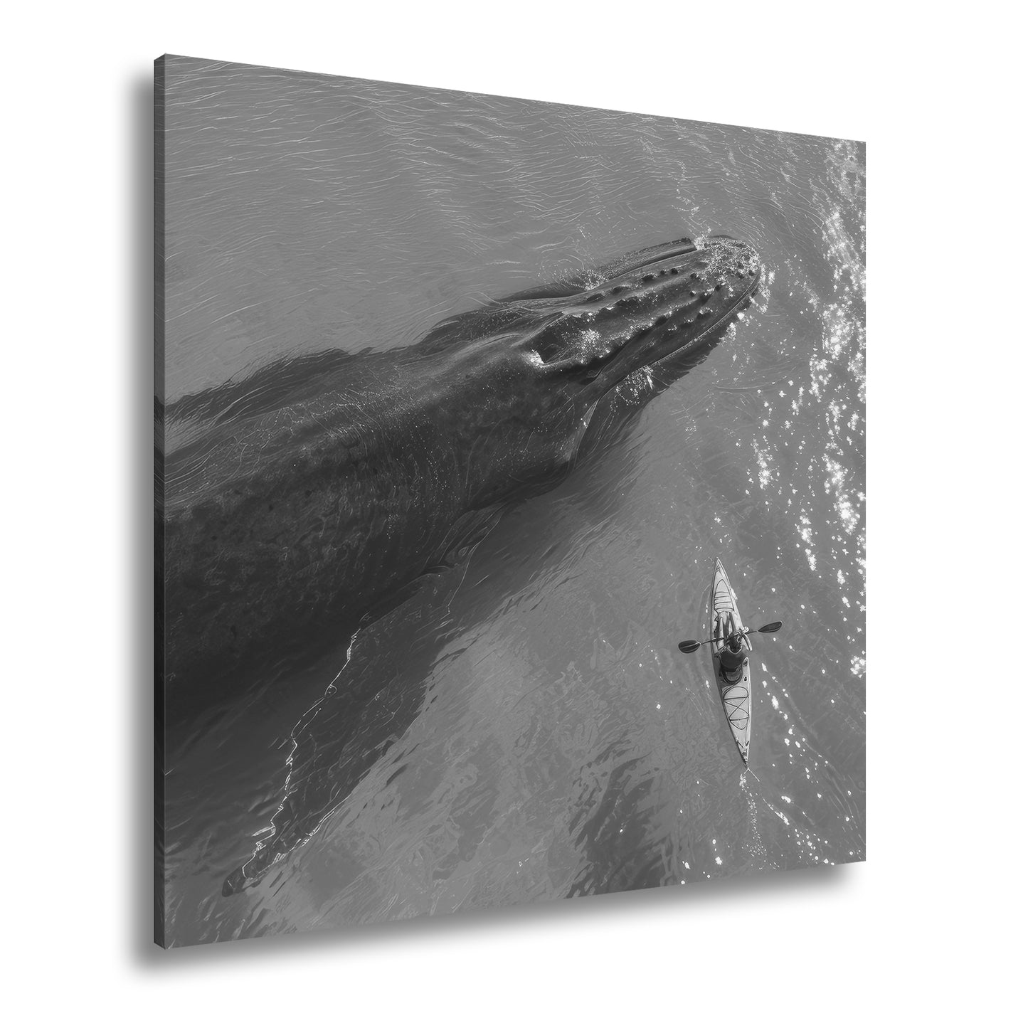 Hauptbild Schwarz & Weiß Quadratisch