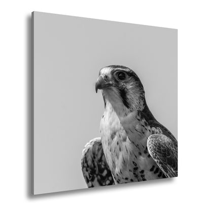 Hauptbild Schwarz & Weiß Quadratisch