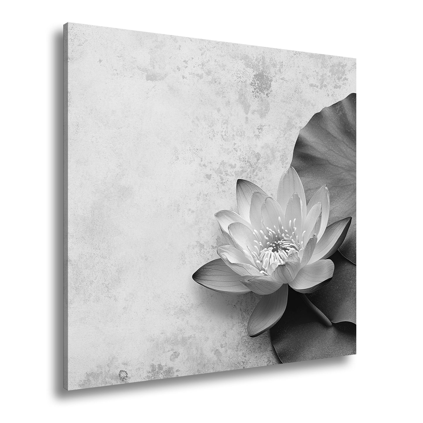 Hauptbild Schwarz & Weiß Quadratisch