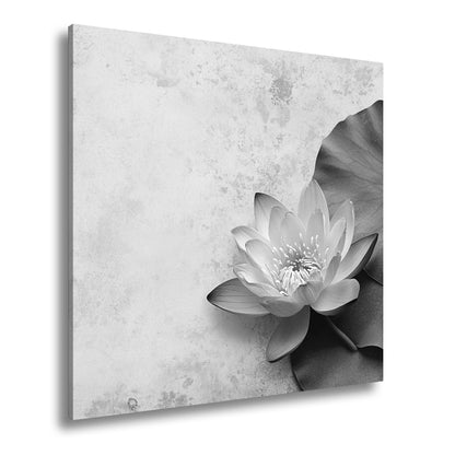 Hauptbild Schwarz & Weiß Quadratisch