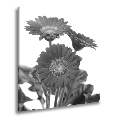 Hauptbild Schwarz & Weiß Quadratisch