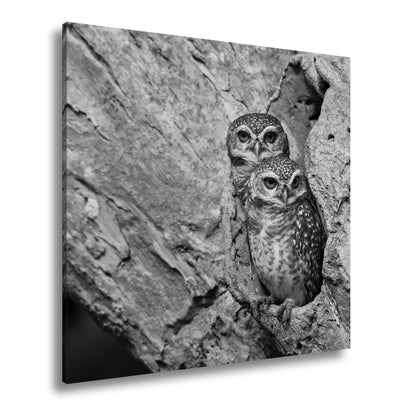 Hauptbild Schwarz & Weiß Quadratisch