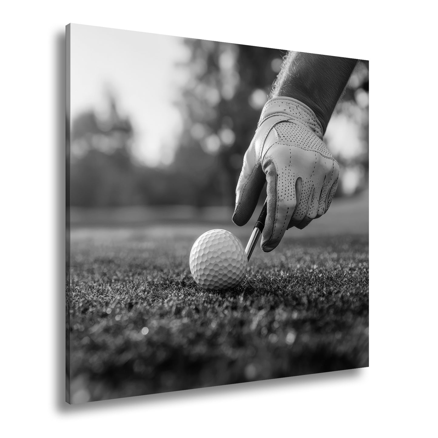 Hauptbild Schwarz & Weiß Quadratisch