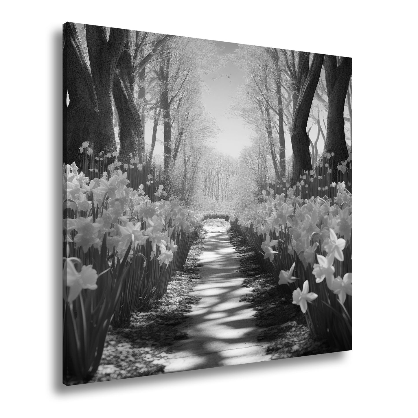 Hauptbild Schwarz & Weiß Quadratisch