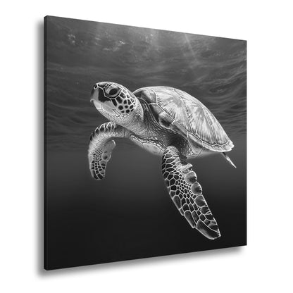 Hauptbild Schwarz & Weiß Quadratisch