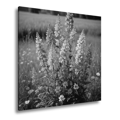 Hauptbild Schwarz & Weiß Quadratisch