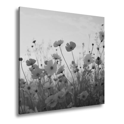 Hauptbild Schwarz & Weiß Quadratisch
