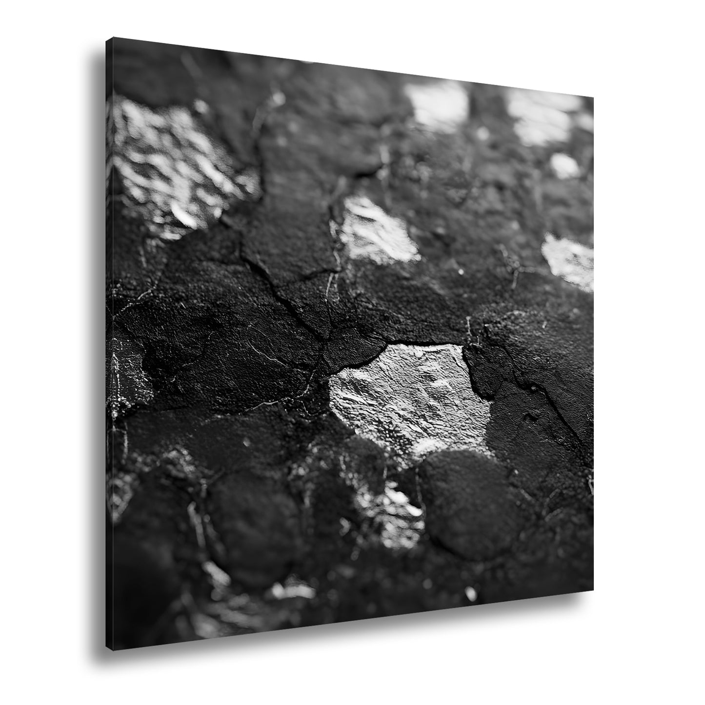 Hauptbild Schwarz & Weiß Quadratisch