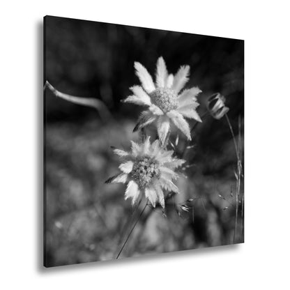Hauptbild Schwarz & Weiß Quadratisch