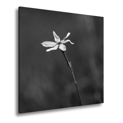 Hauptbild Schwarz & Weiß Quadratisch