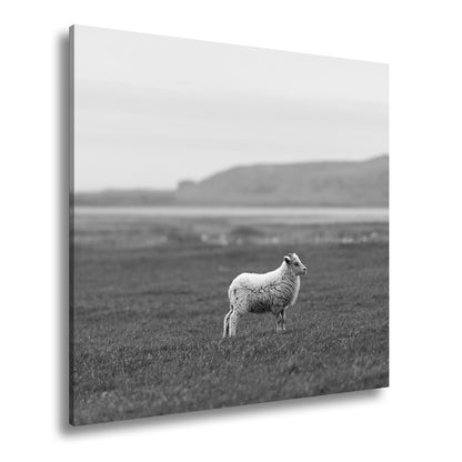 Hauptbild Schwarz & Weiß Quadratisch