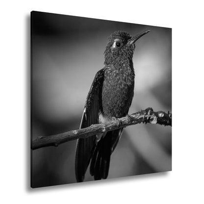 Hauptbild Schwarz & Weiß Quadratisch