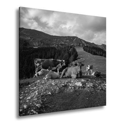 Hauptbild Schwarz & Weiß Quadratisch