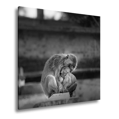 Hauptbild Schwarz & Weiß Quadratisch