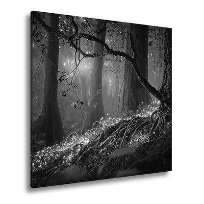 Hauptbild Schwarz & Weiß Quadratisch