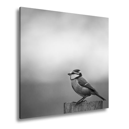 Hauptbild Schwarz & Weiß Quadratisch