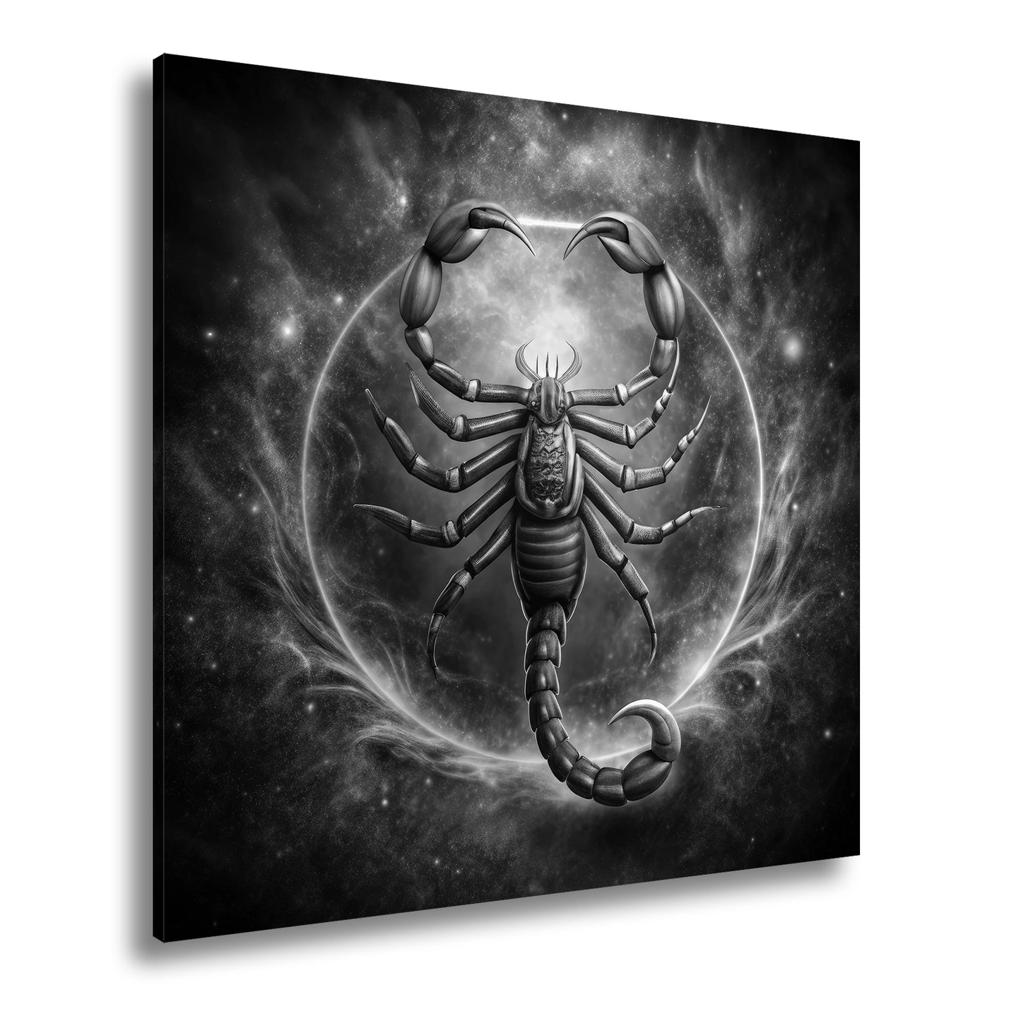 Hauptbild Schwarz & Weiß Quadratisch