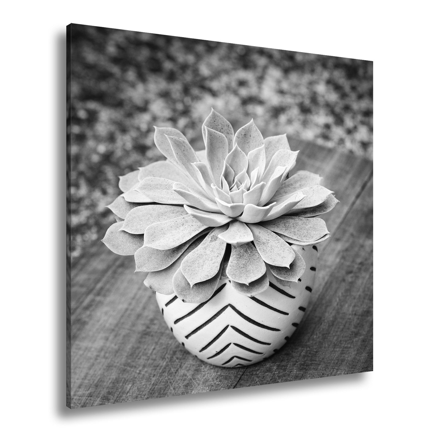 Hauptbild Schwarz & Weiß Quadratisch