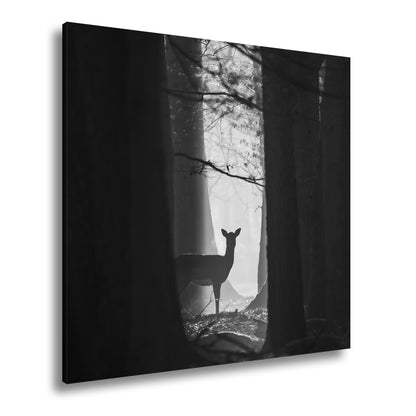 Hauptbild Schwarz & Weiß Quadratisch